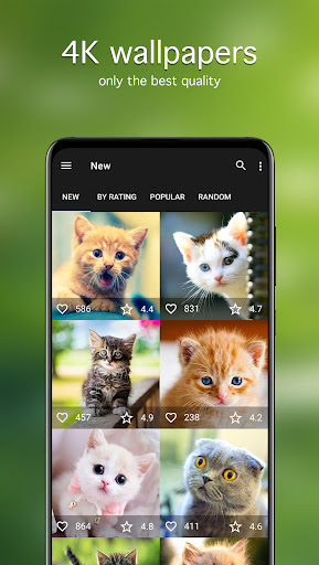 screenshots_1