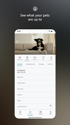 screenshots_7