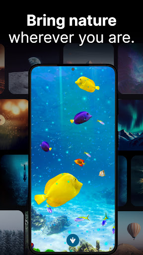 screenshots_7