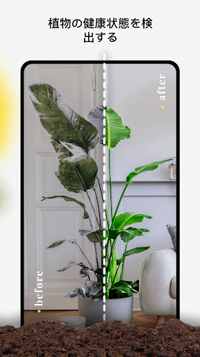 screenshots_5