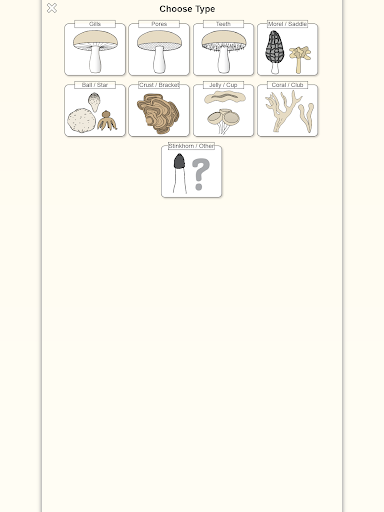 screenshots_10