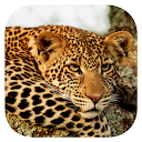 Stuarts' SA Mammals 5th Ed