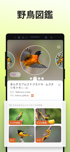 screenshots_3