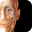 Human Anatomy Atlas 2022＋