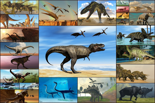screenshots_5