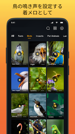 screenshots_3