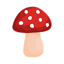 Shroomify - USA Mushroom Ident