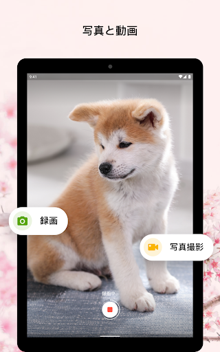 screenshots_12