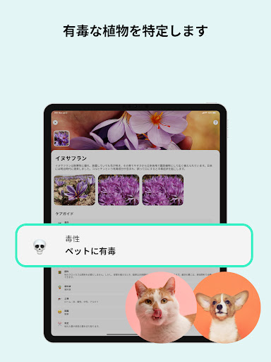 screenshots_20