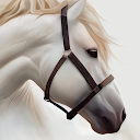 Horse Wallpaper HD : backgrounds & themes