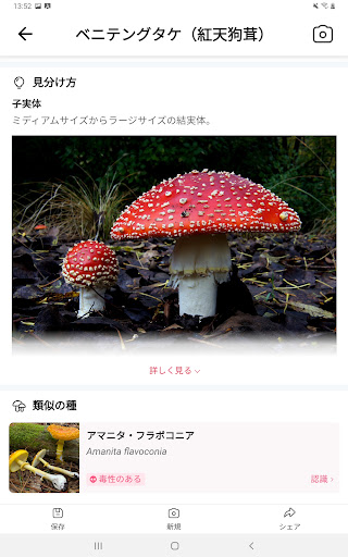 screenshots_8