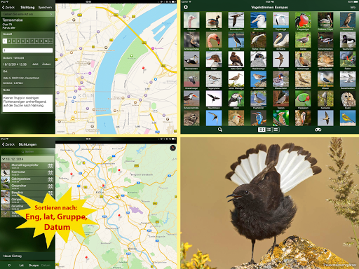 screenshots_13