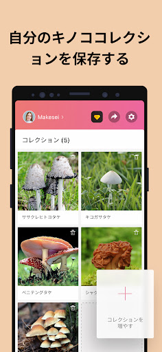 screenshots_4