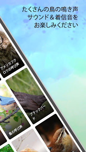 screenshots_1