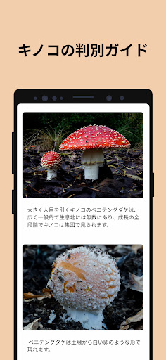 screenshots_3