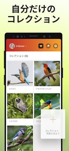 screenshots_5