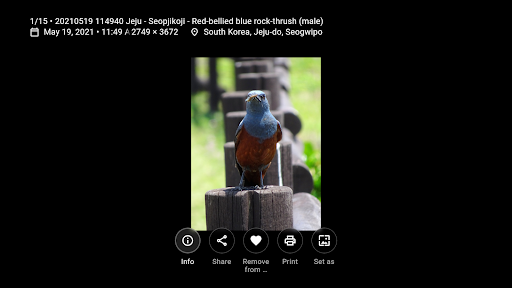 screenshots_8