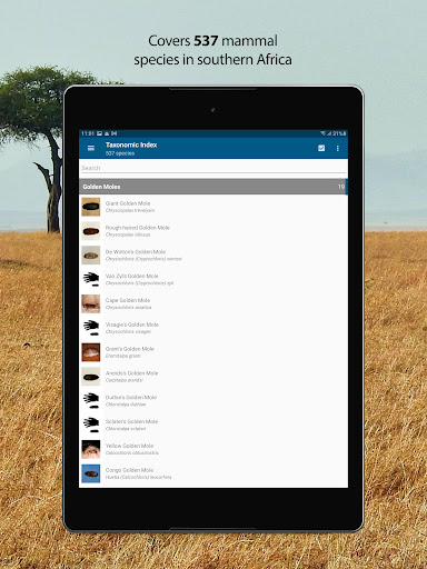 screenshots_8