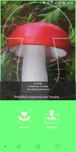 screenshots_2