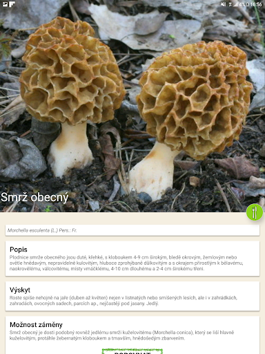 screenshots_9