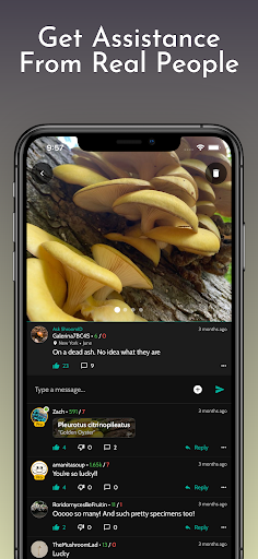 screenshots_5