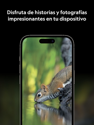 screenshots_15