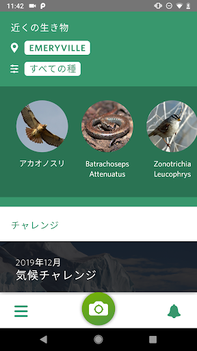 screenshots_0