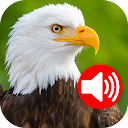 Animals & Birds Ringtones