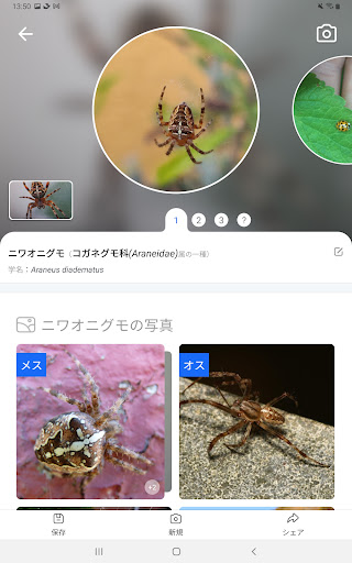 screenshots_11
