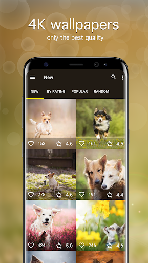 screenshots_1