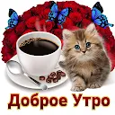 Good morning & birthday images