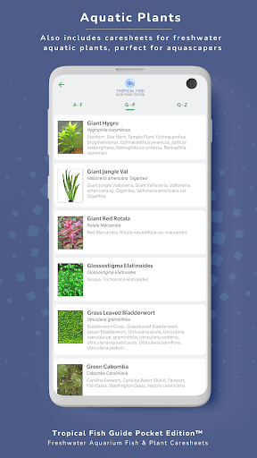 screenshots_6