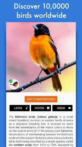 screenshots_7