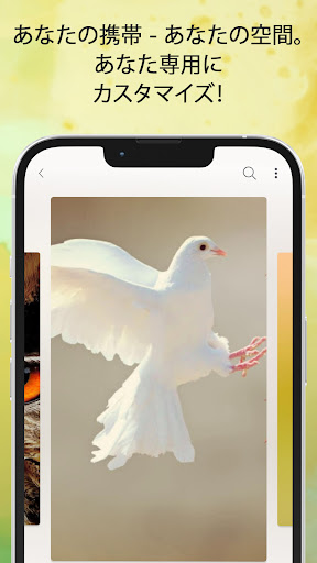 screenshots_5