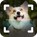 Dog Bread Identifier: Dog Scanner by photo, camera