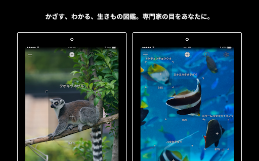 screenshots_6
