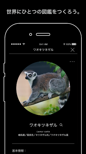 screenshots_5