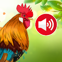Animal Sounds & Ringtones