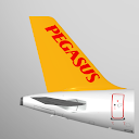 Book Flight Tickets by Pegasus