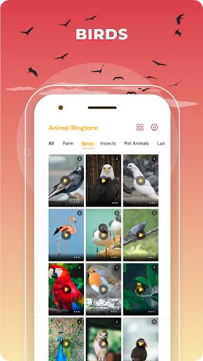 screenshots_27