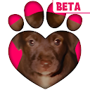 TREAT - Remotely rescue a dog