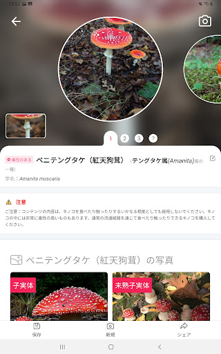 screenshots_11