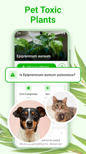 screenshots_3