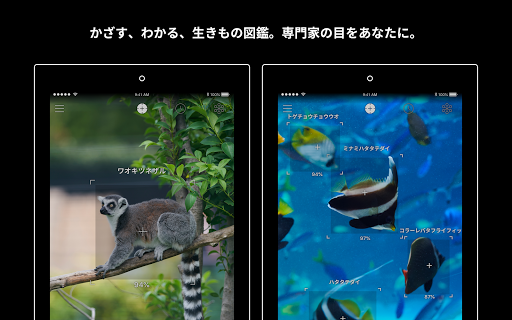 screenshots_7
