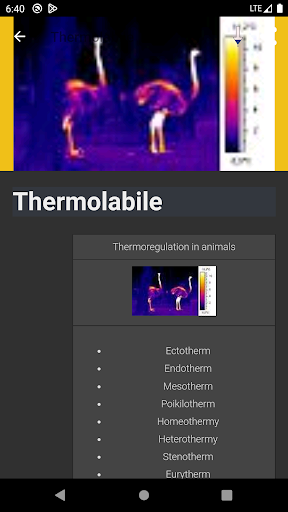 screenshots_7