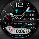 MD202 -  Hybrid watch face
