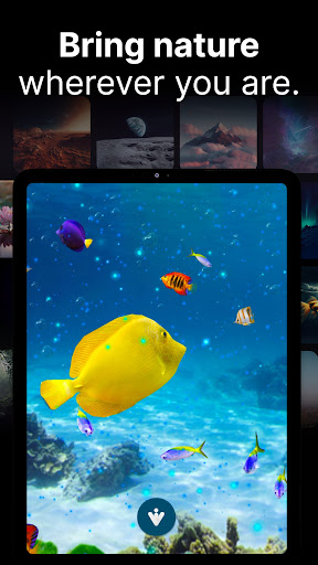 screenshots_15