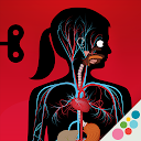 The Human Body by Tinybop
